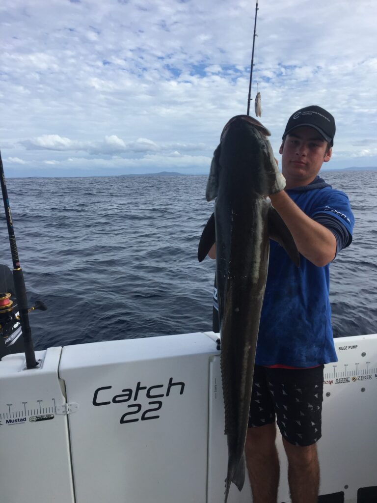 fishing charters sunshine coast