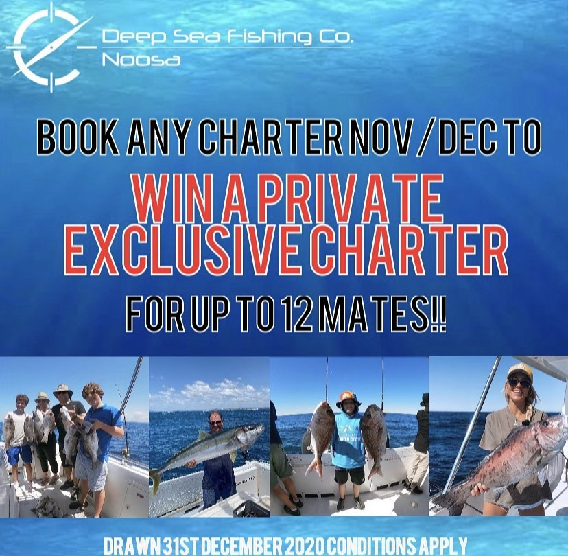 fishing charters sunshine coast