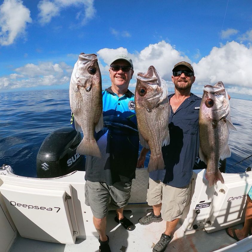fishing charters sunshine coast
