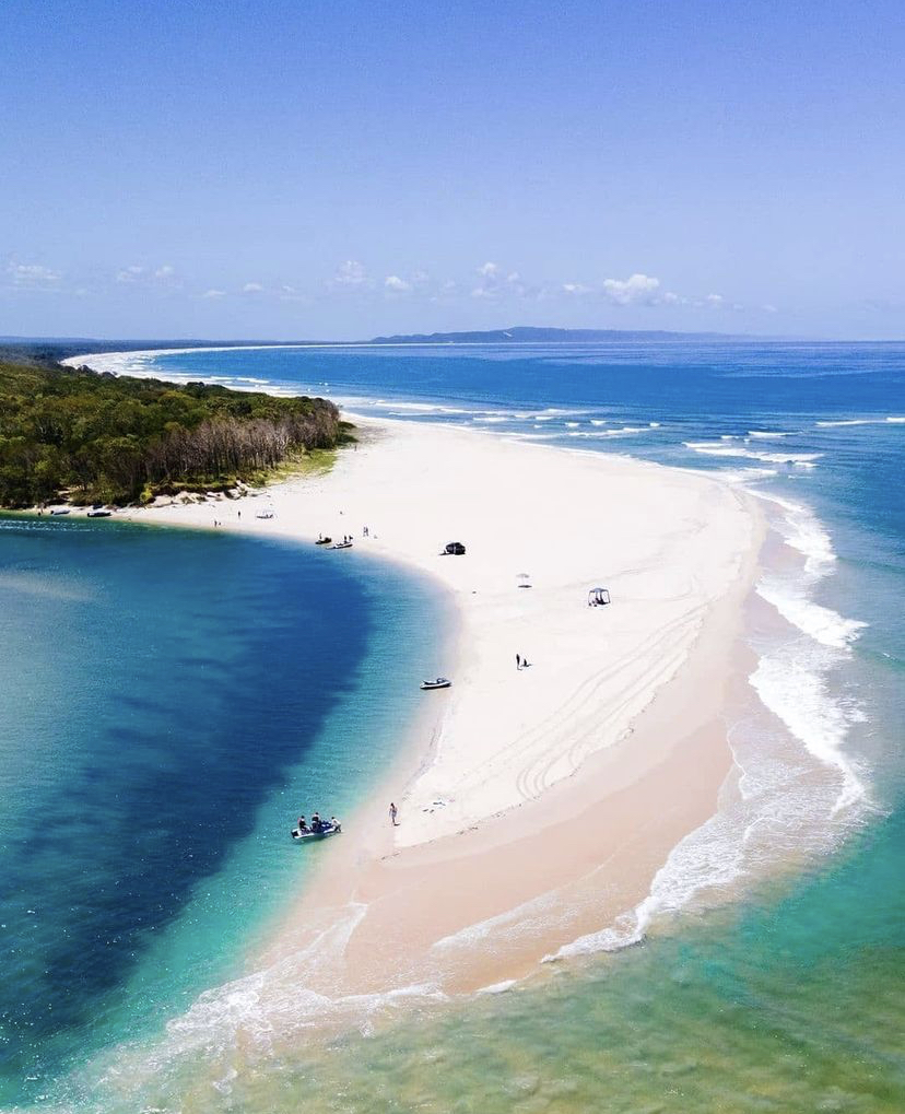 fishing charters sunshine coast