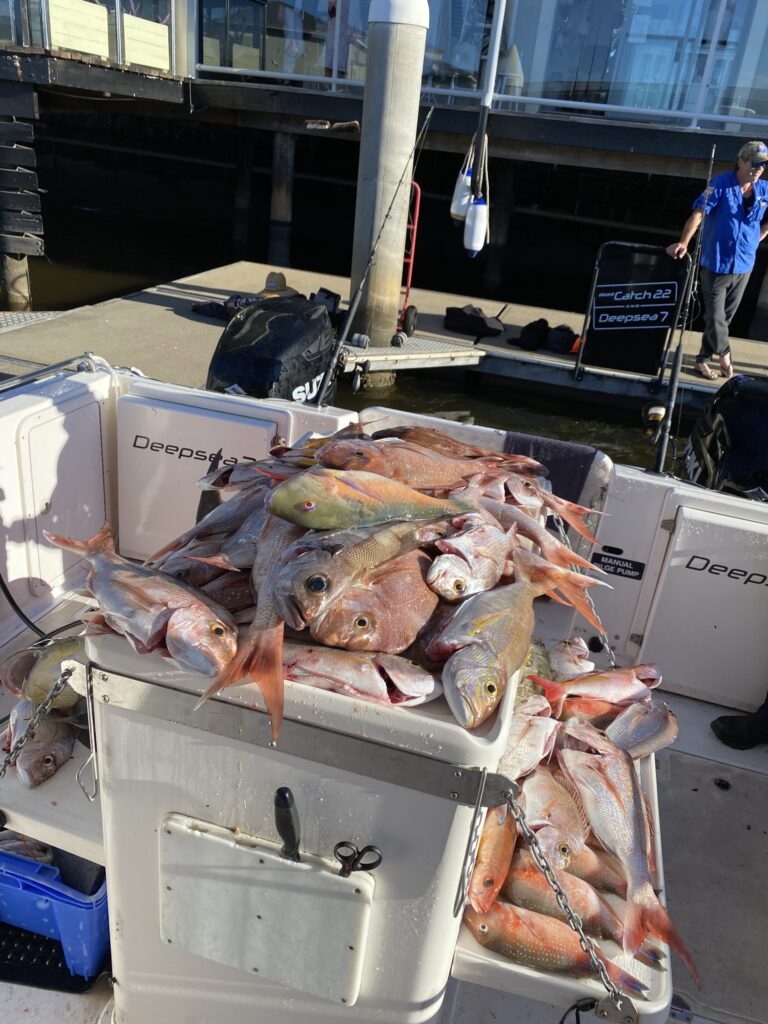fishing charters sunshine coast