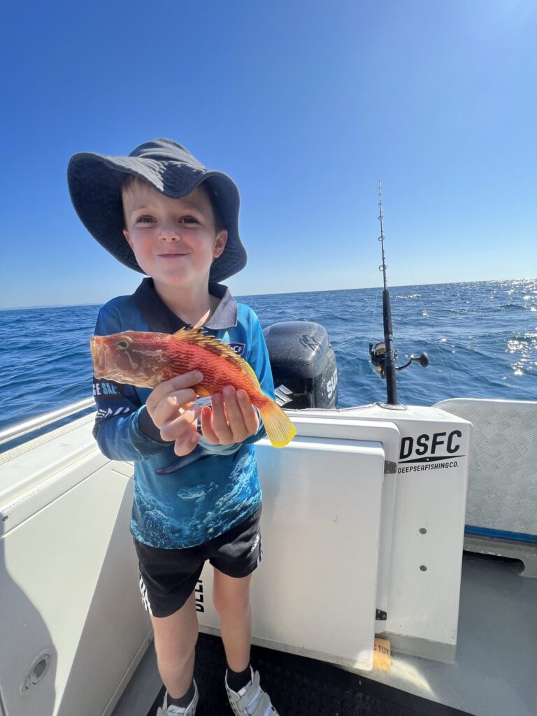 fishing charters sunshine coast