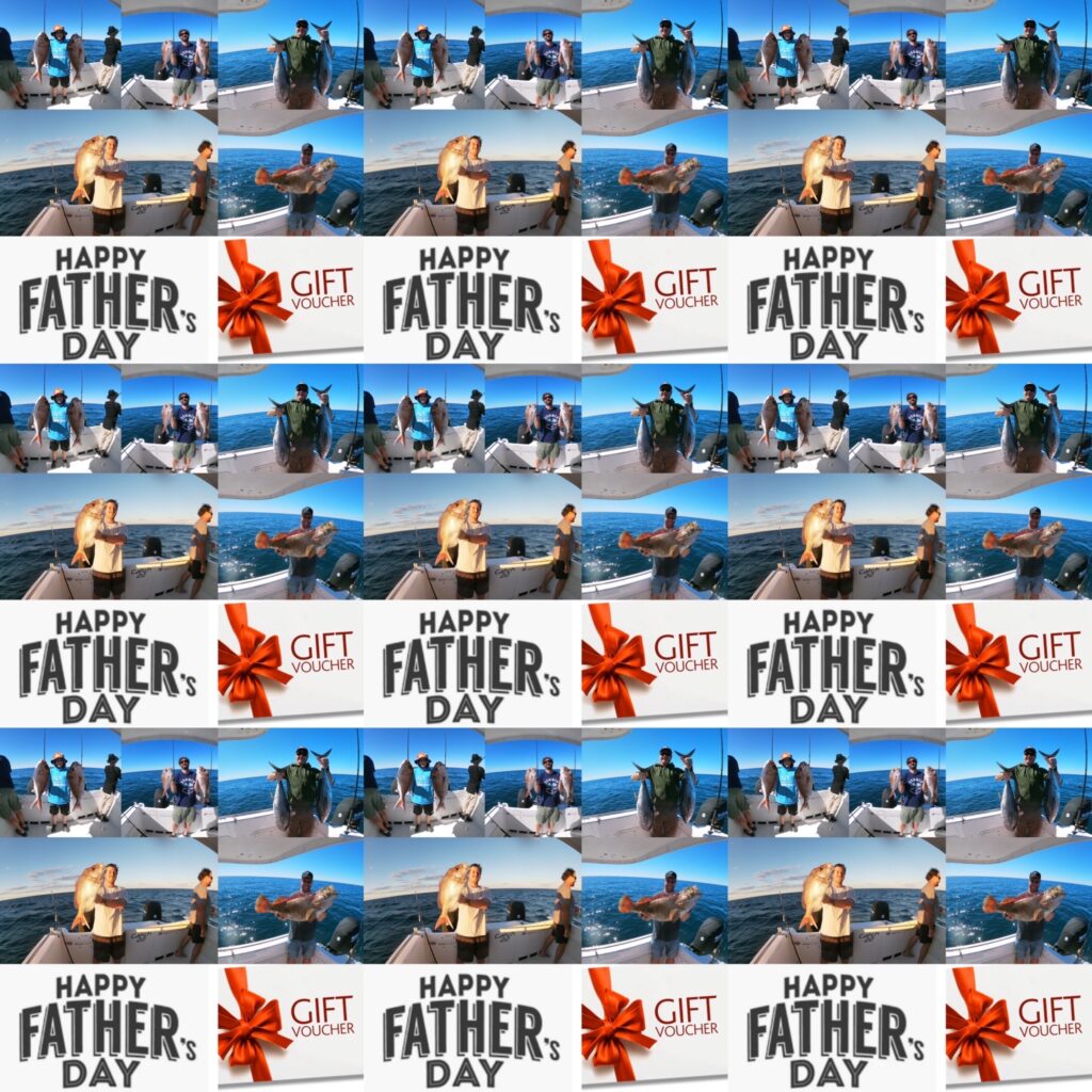 fishing charters sunshine coast