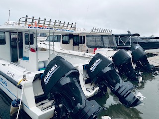 fishing charters sunshine coast