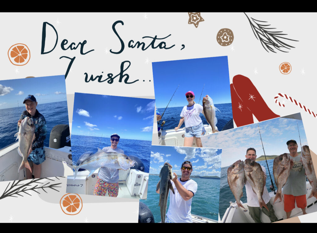 fishing charters sunshine coast