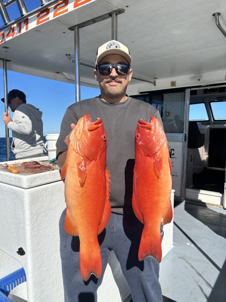 fishing charters sunshine coast