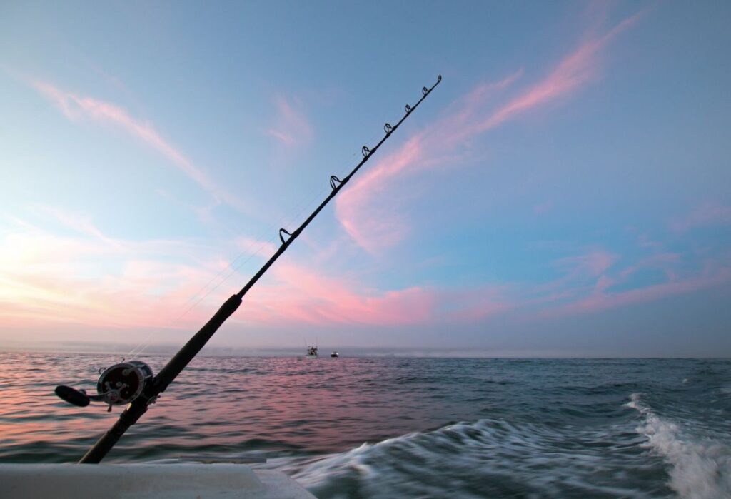 fishing charters sunshine coast