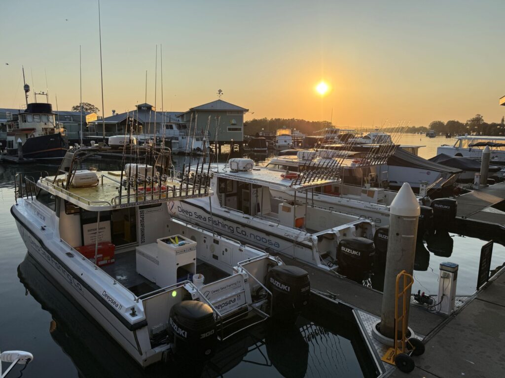 fishing charters sunshine coast