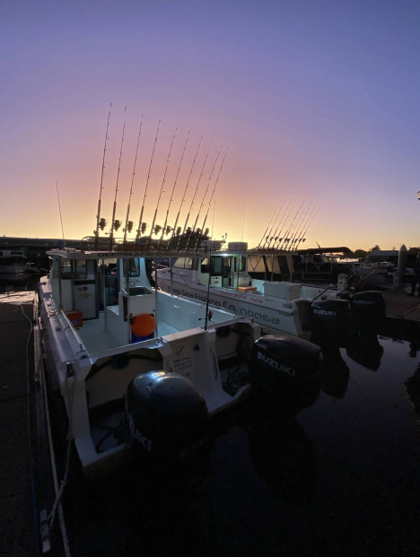 fishing charters sunshine coast