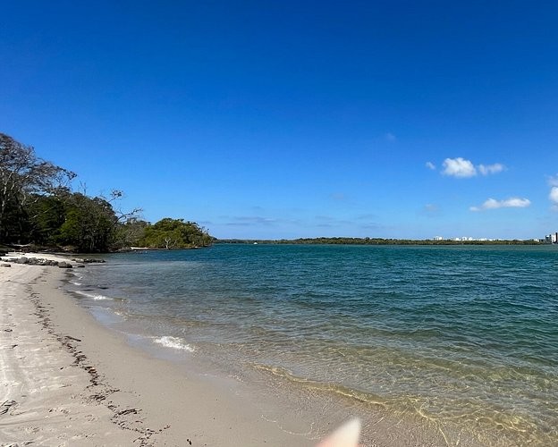 fishing charters sunshine coast