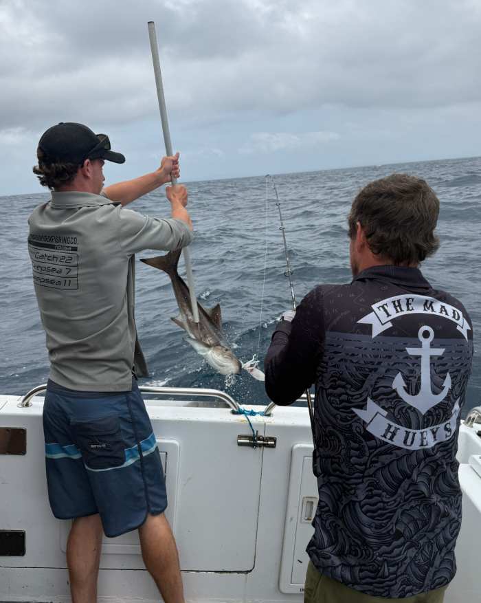 fishing charters sunshine coast