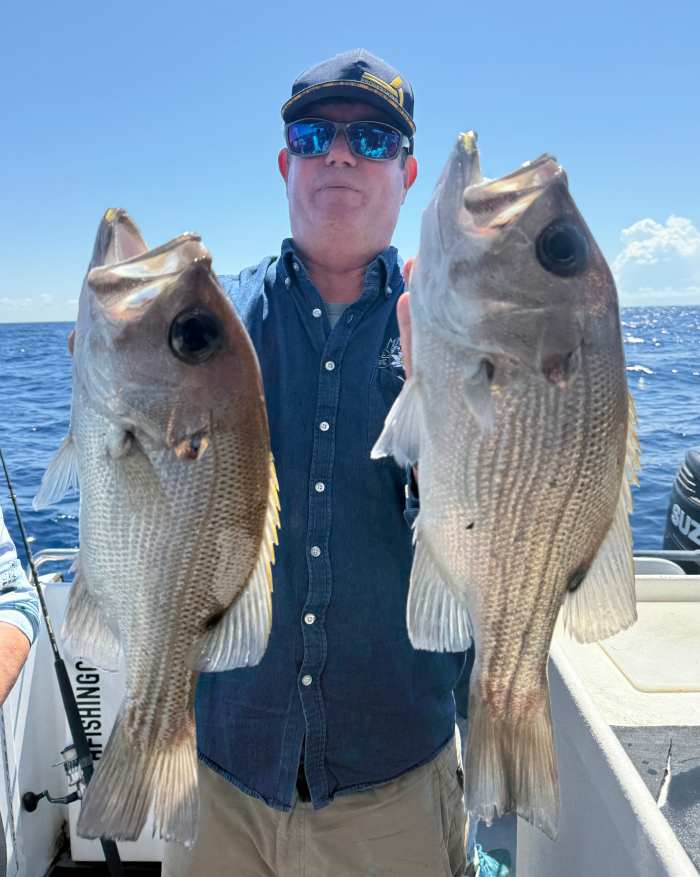 fishing charters sunshine coast