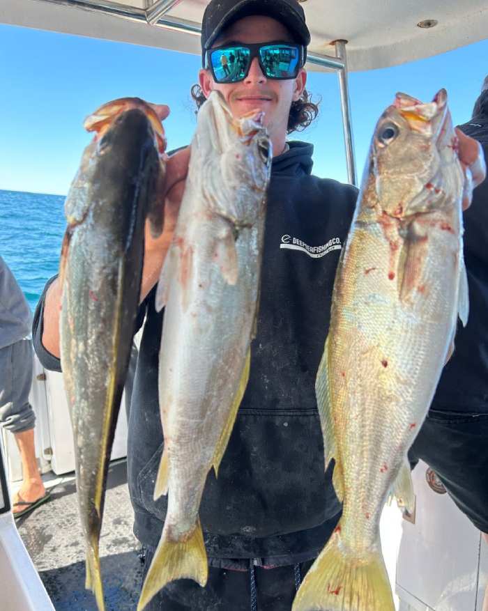 fishing charters sunshine coast