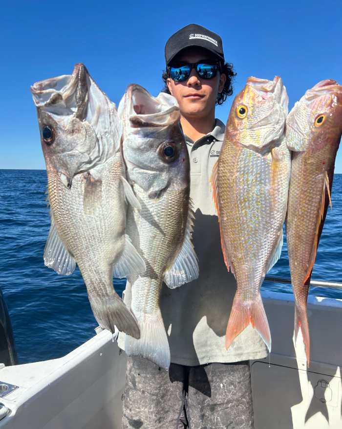 fishing charters sunshine coast