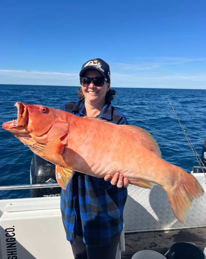 fishing charters sunshine coast