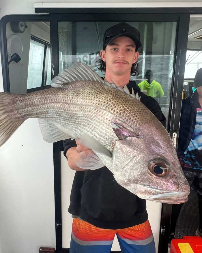 fishing charters sunshine coast
