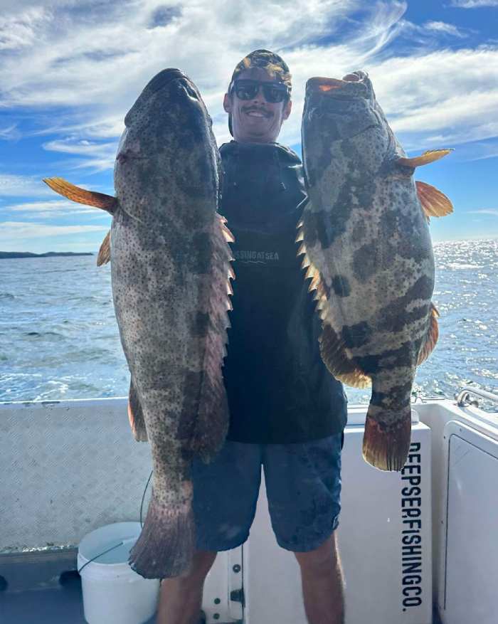 fishing charters sunshine coast