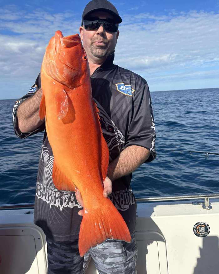 fishing charters sunshine coast