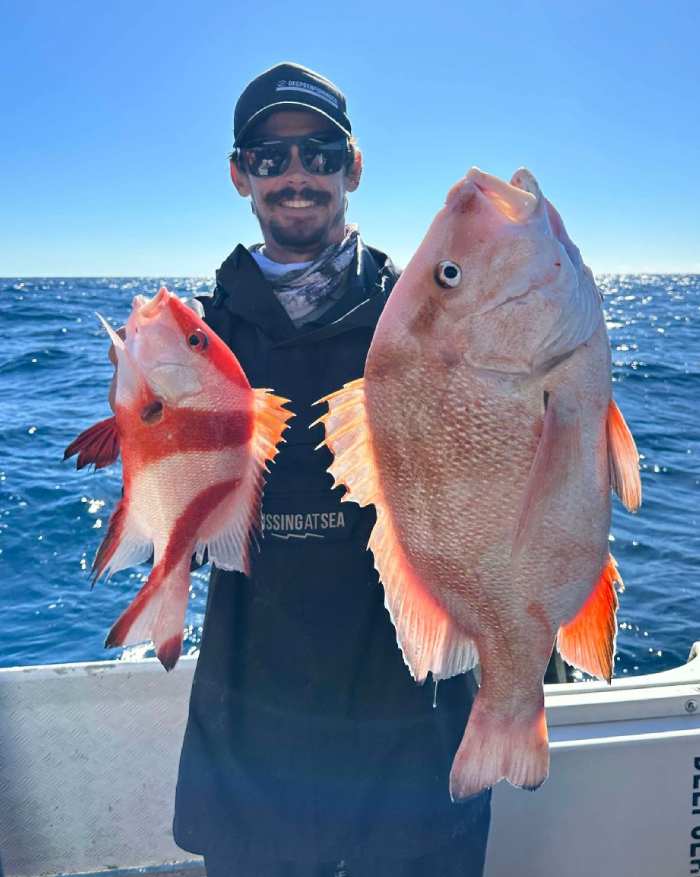 fishing charters sunshine coast