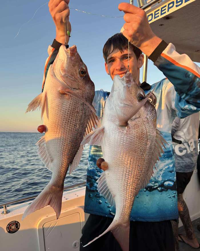 fishing charters sunshine coast