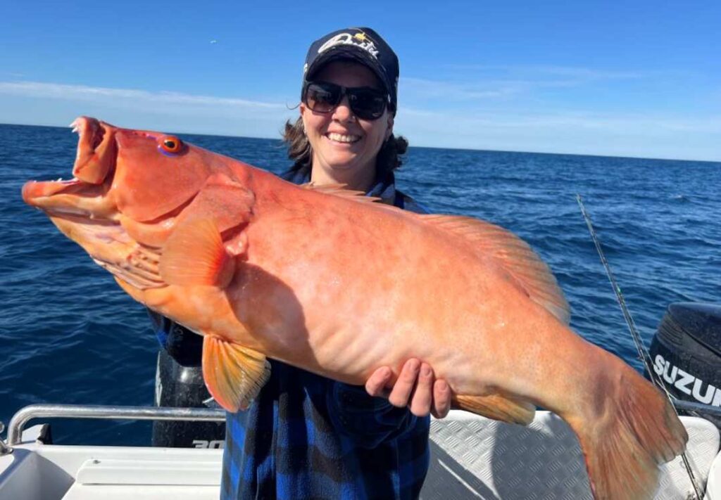 fishing charters sunshine coast